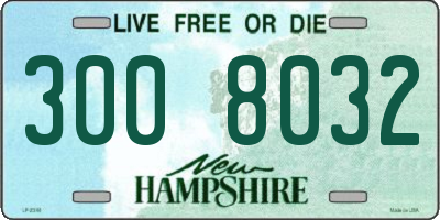 NH license plate 3008032