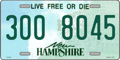 NH license plate 3008045