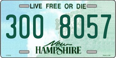 NH license plate 3008057