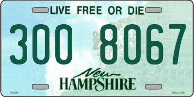 NH license plate 3008067