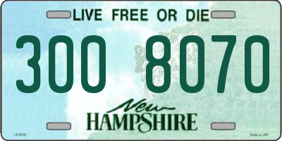 NH license plate 3008070