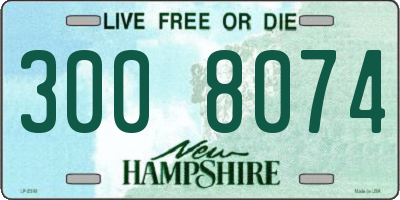 NH license plate 3008074