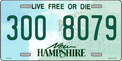 NH license plate 3008079