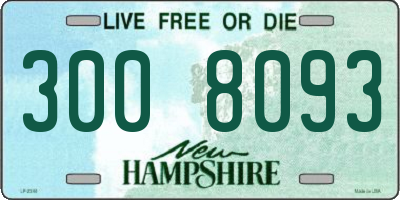 NH license plate 3008093