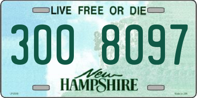 NH license plate 3008097