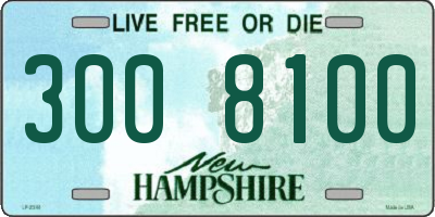 NH license plate 3008100
