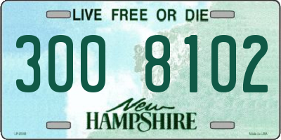 NH license plate 3008102