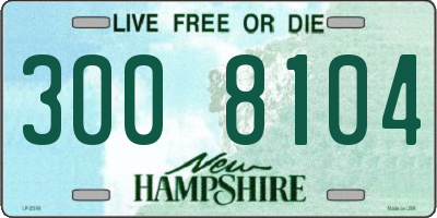 NH license plate 3008104