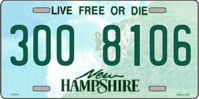 NH license plate 3008106