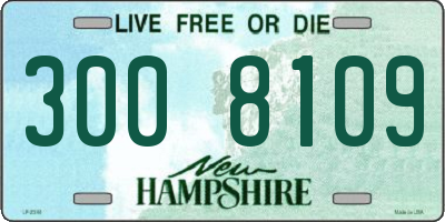 NH license plate 3008109