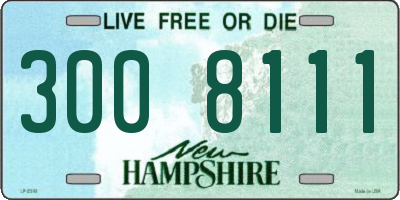 NH license plate 3008111