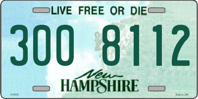 NH license plate 3008112