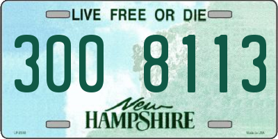 NH license plate 3008113