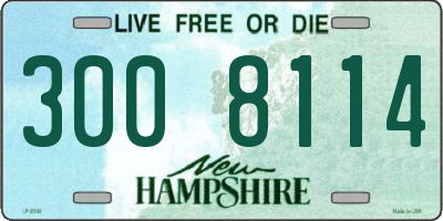 NH license plate 3008114