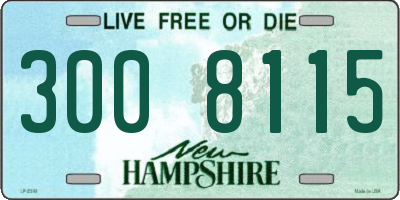 NH license plate 3008115