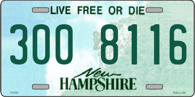 NH license plate 3008116