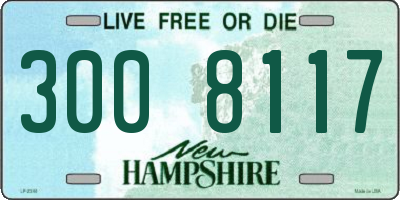 NH license plate 3008117