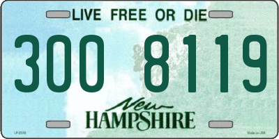 NH license plate 3008119