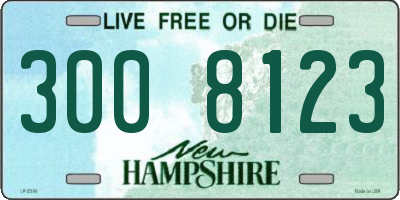 NH license plate 3008123