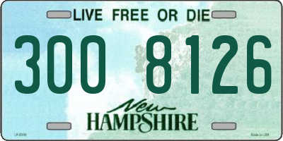 NH license plate 3008126