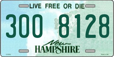 NH license plate 3008128