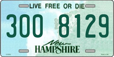 NH license plate 3008129