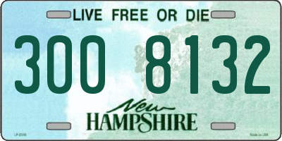 NH license plate 3008132