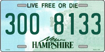 NH license plate 3008133