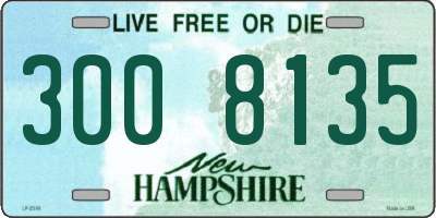 NH license plate 3008135