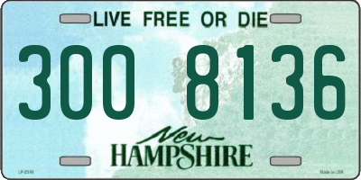NH license plate 3008136
