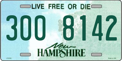 NH license plate 3008142