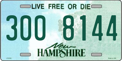 NH license plate 3008144
