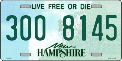 NH license plate 3008145
