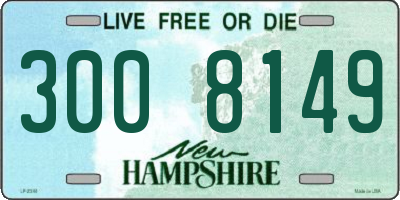 NH license plate 3008149