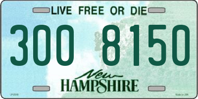NH license plate 3008150