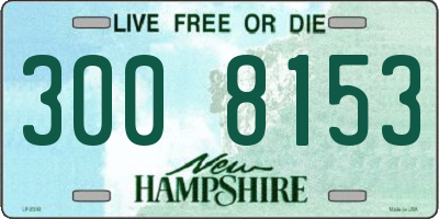 NH license plate 3008153