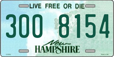 NH license plate 3008154