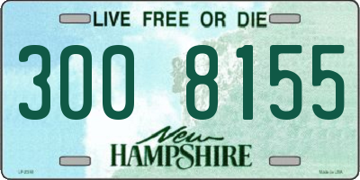 NH license plate 3008155