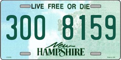 NH license plate 3008159