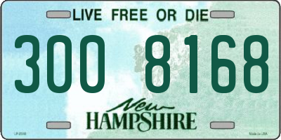 NH license plate 3008168