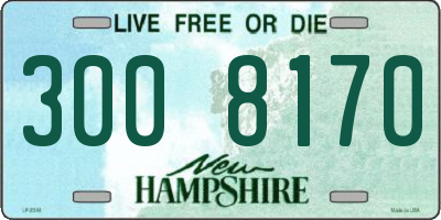 NH license plate 3008170