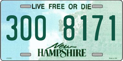 NH license plate 3008171