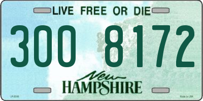 NH license plate 3008172