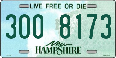 NH license plate 3008173