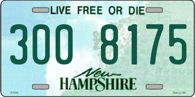 NH license plate 3008175