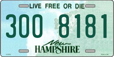 NH license plate 3008181