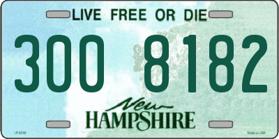 NH license plate 3008182