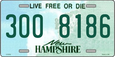 NH license plate 3008186