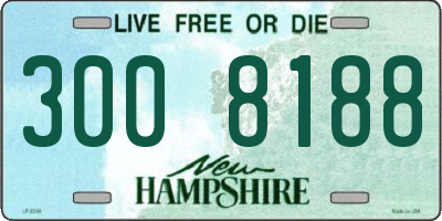 NH license plate 3008188