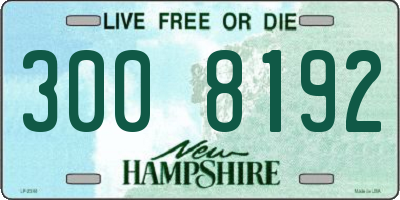 NH license plate 3008192